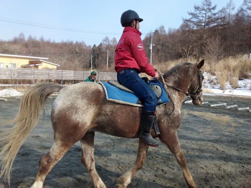 置物 跳ね馬 シンプル 裸馬 鞍なし 紅木色-